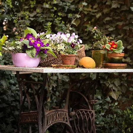 Der Alps Hof Apartment *