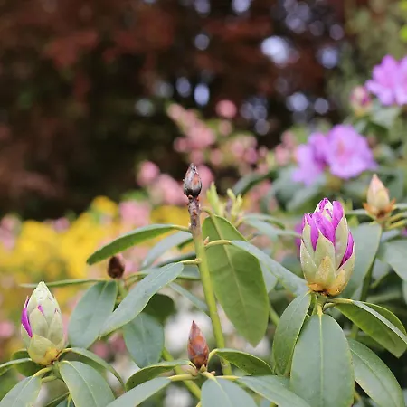 Apartment Der Alps Hof