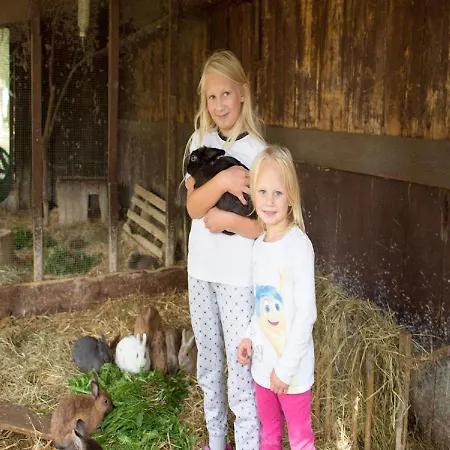 Apartment Der Alps Hof *