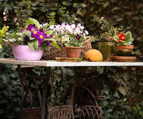 Der Alps Hof Lejlighed *