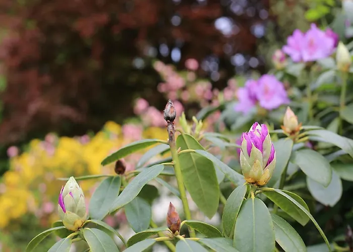 Lejlighed Der Alps Hof