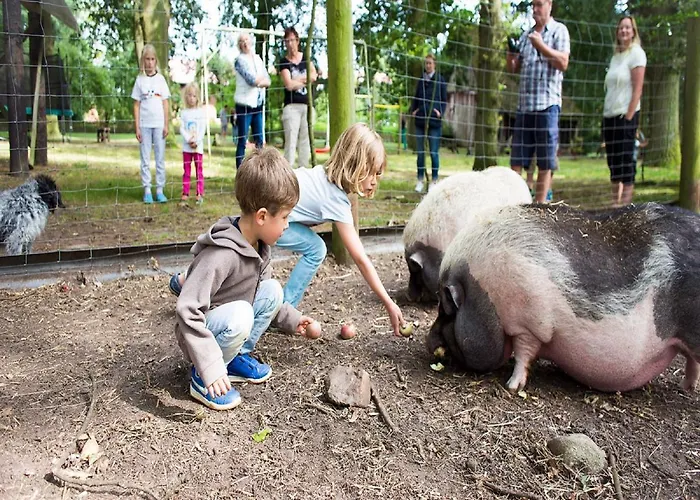 Der Alps Hof Lejlighed Walsrode